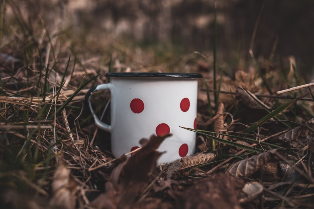white and red polka dot ceramic mug on brown dried leaves