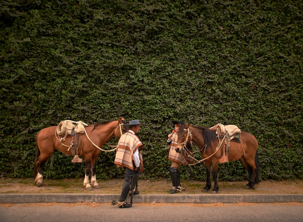 a couple of brown horses standing next to each other