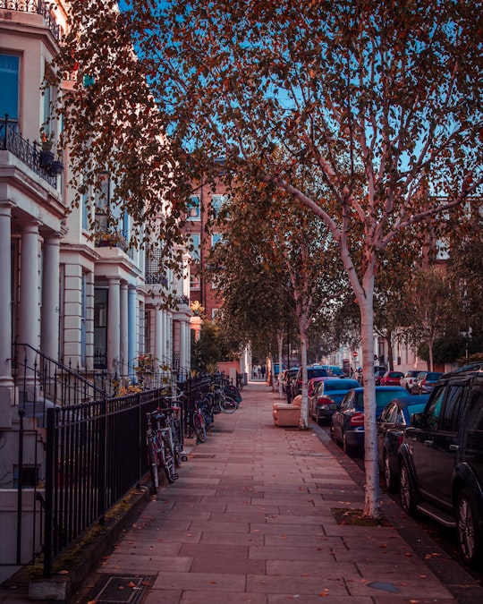 cars parked on sidewalk near trees and buildings during daytime in Royal Borough of Kensington and Chelsea United Kingdom