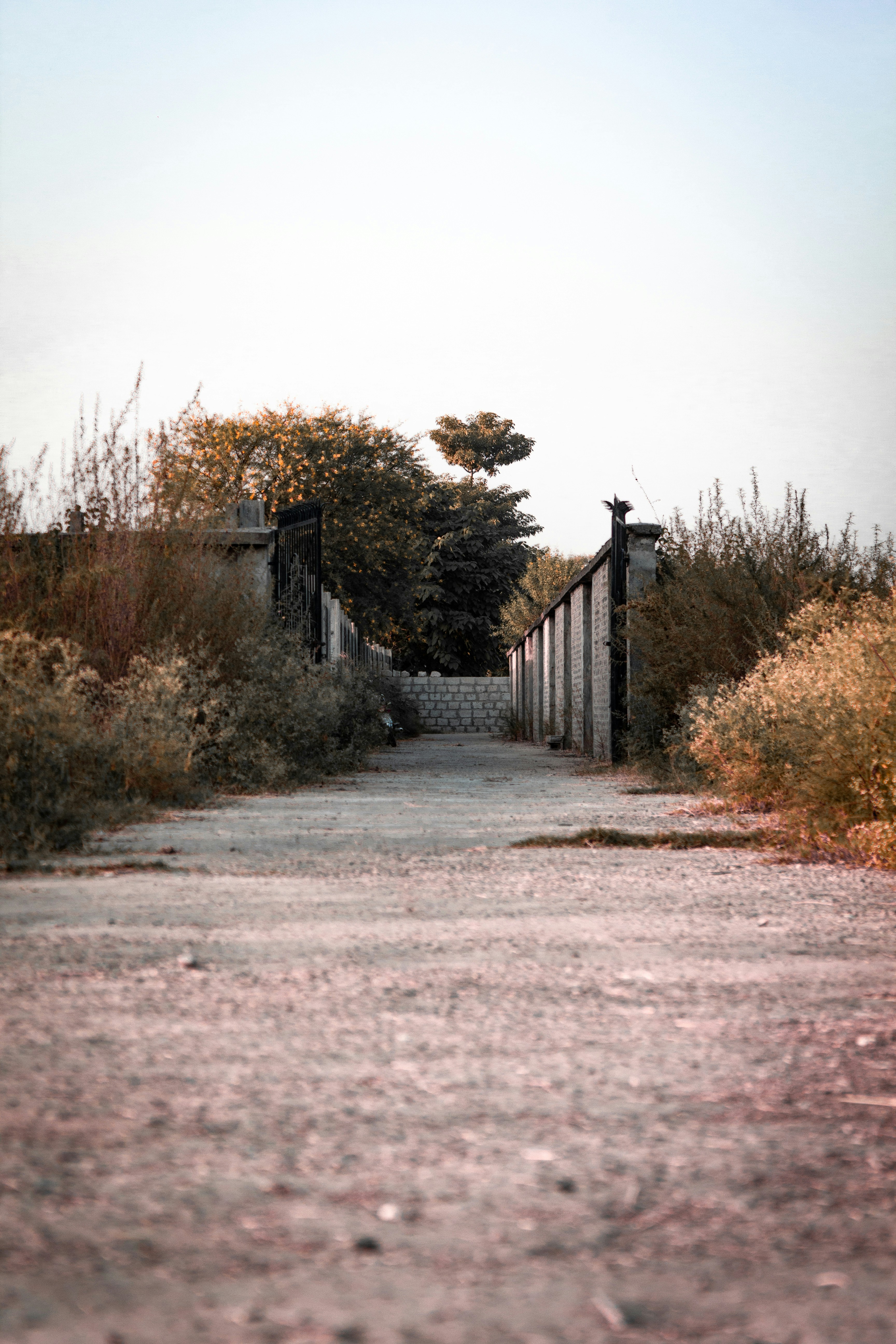 Photo by ar_graphics_