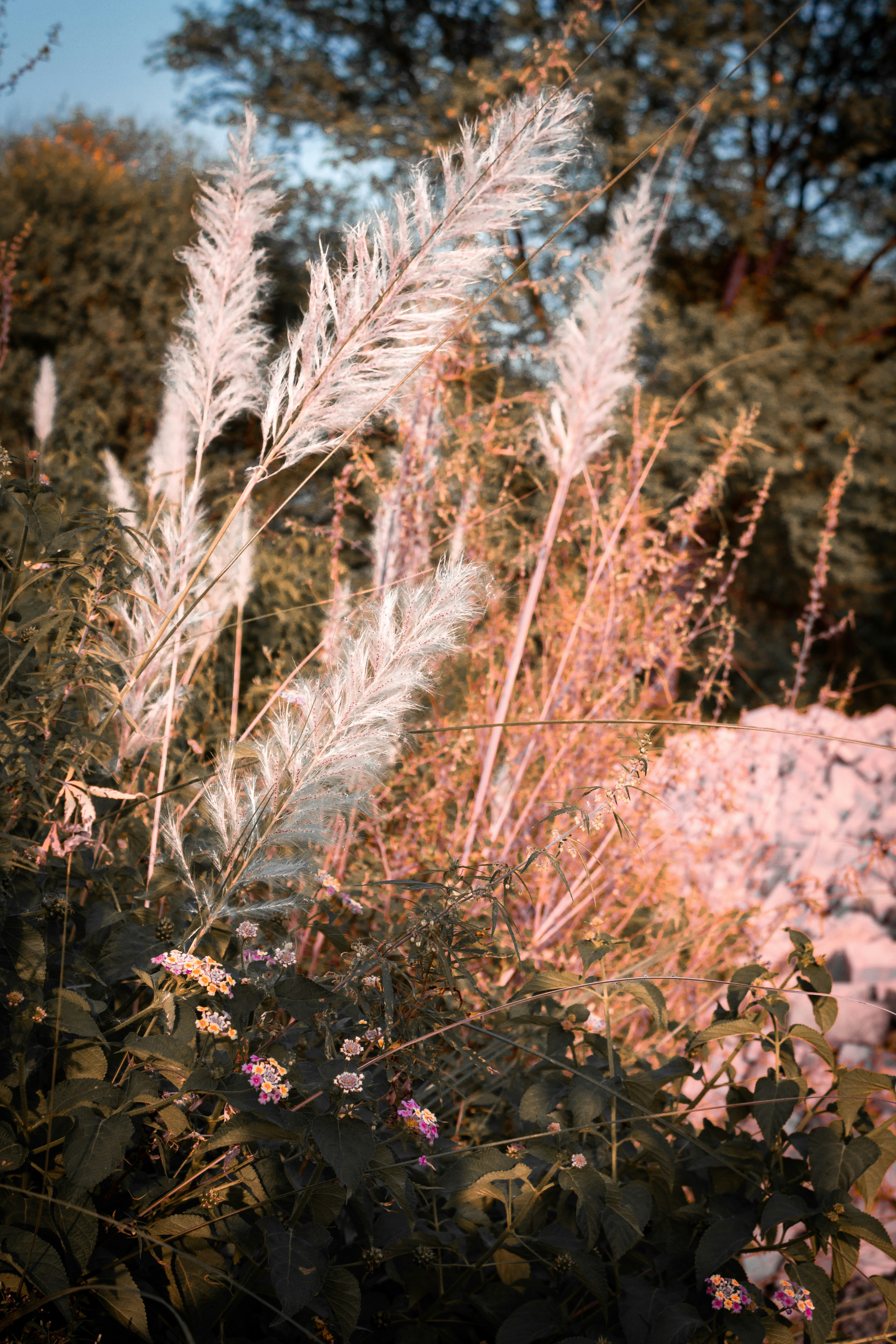 Photo by ar_graphics_