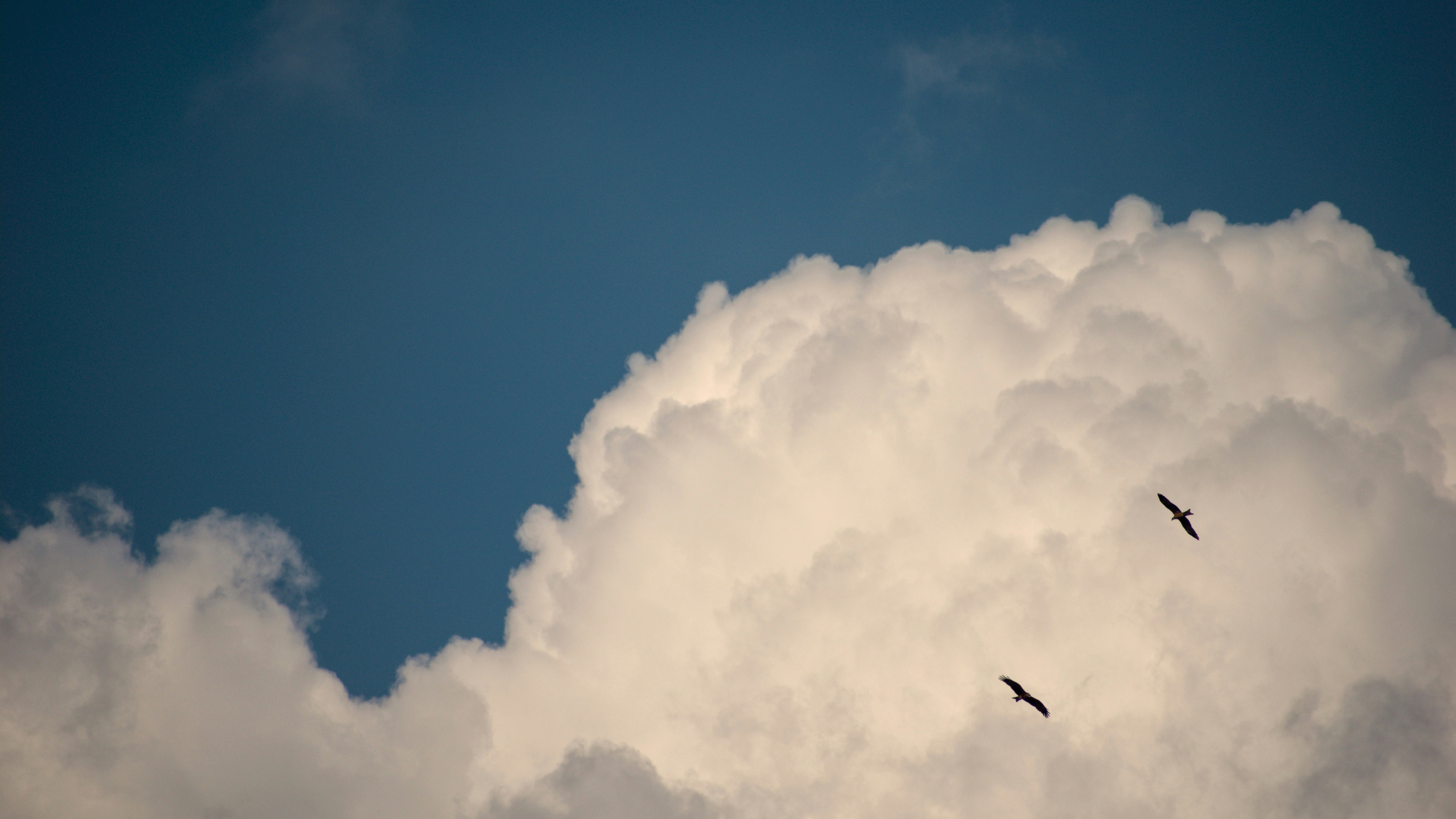 Photo by nikhilsingh291