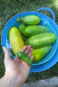 Premium Cucumber Seeds