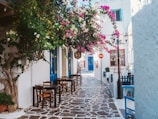 A winding cobblestone street framed by blooming bougainvillea in a European town.