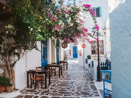 pink flower tree on white concrete building- Greek island