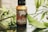 A brown bottle labeled 'Koi Naturals 2000' sits on a reflective surface surrounded by green leaves. The label features a white koi fish graphic and bold text.