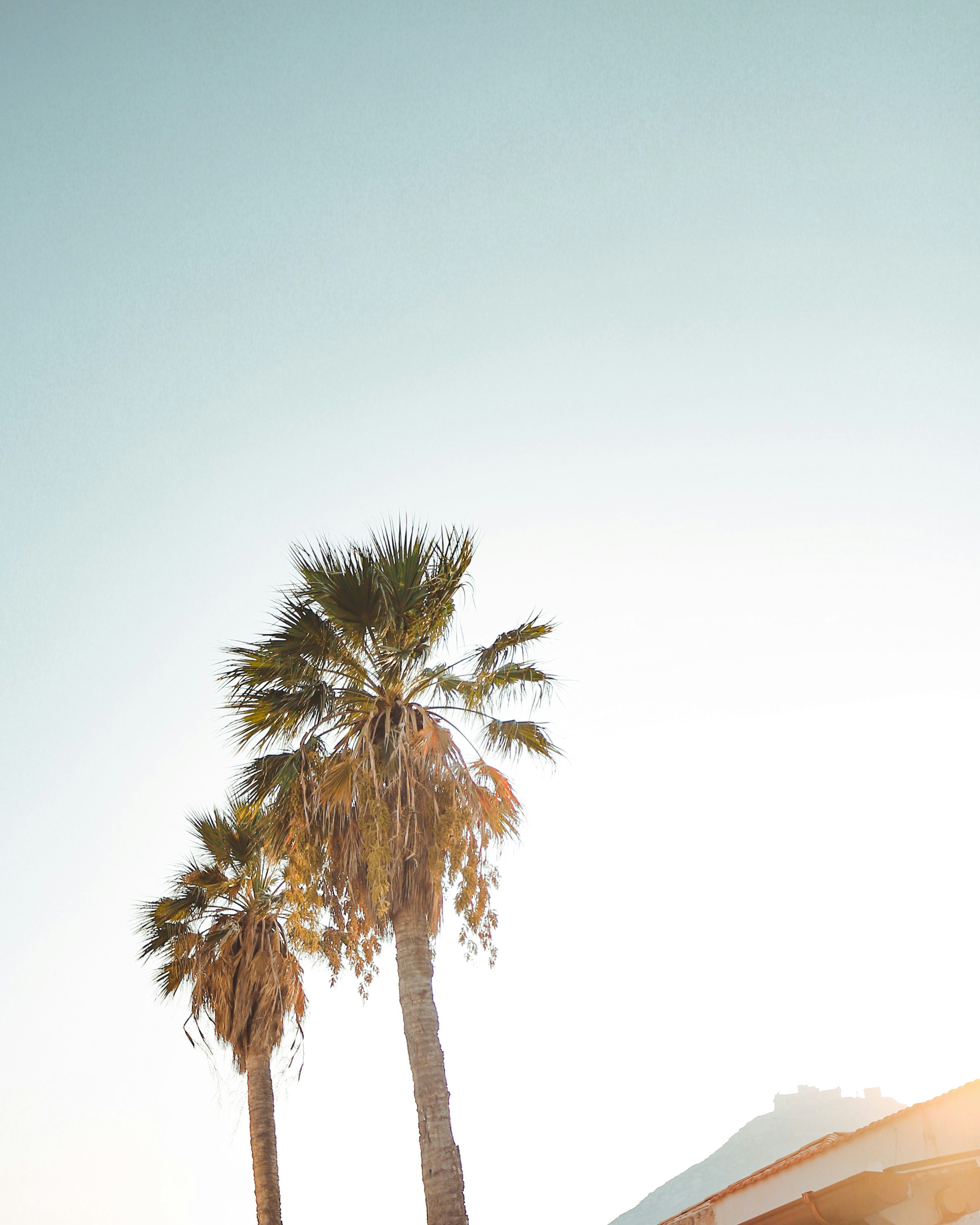 Photo by adamneumann