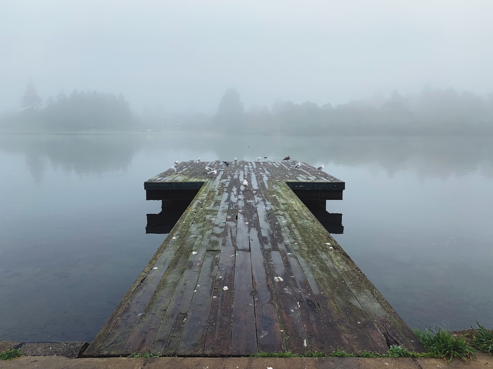 brown wooden dock on lake during foggy weather