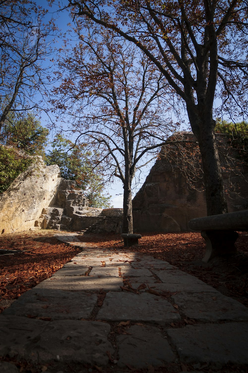 brown wooden bench near brown rock formation during daytime