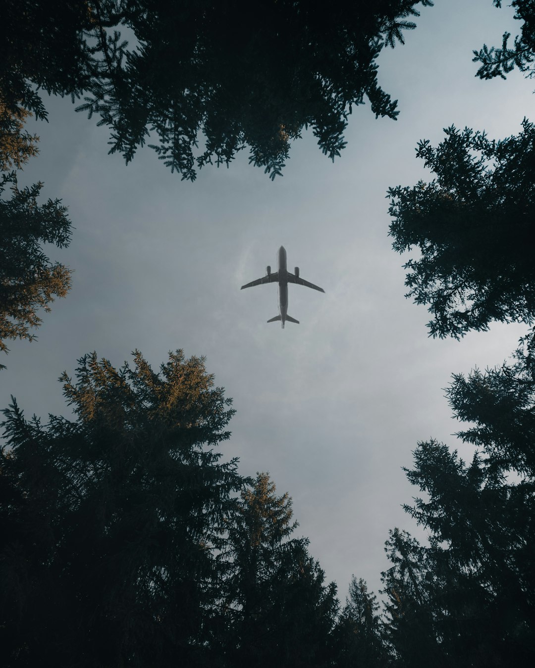 airplane flying over green trees during daytime