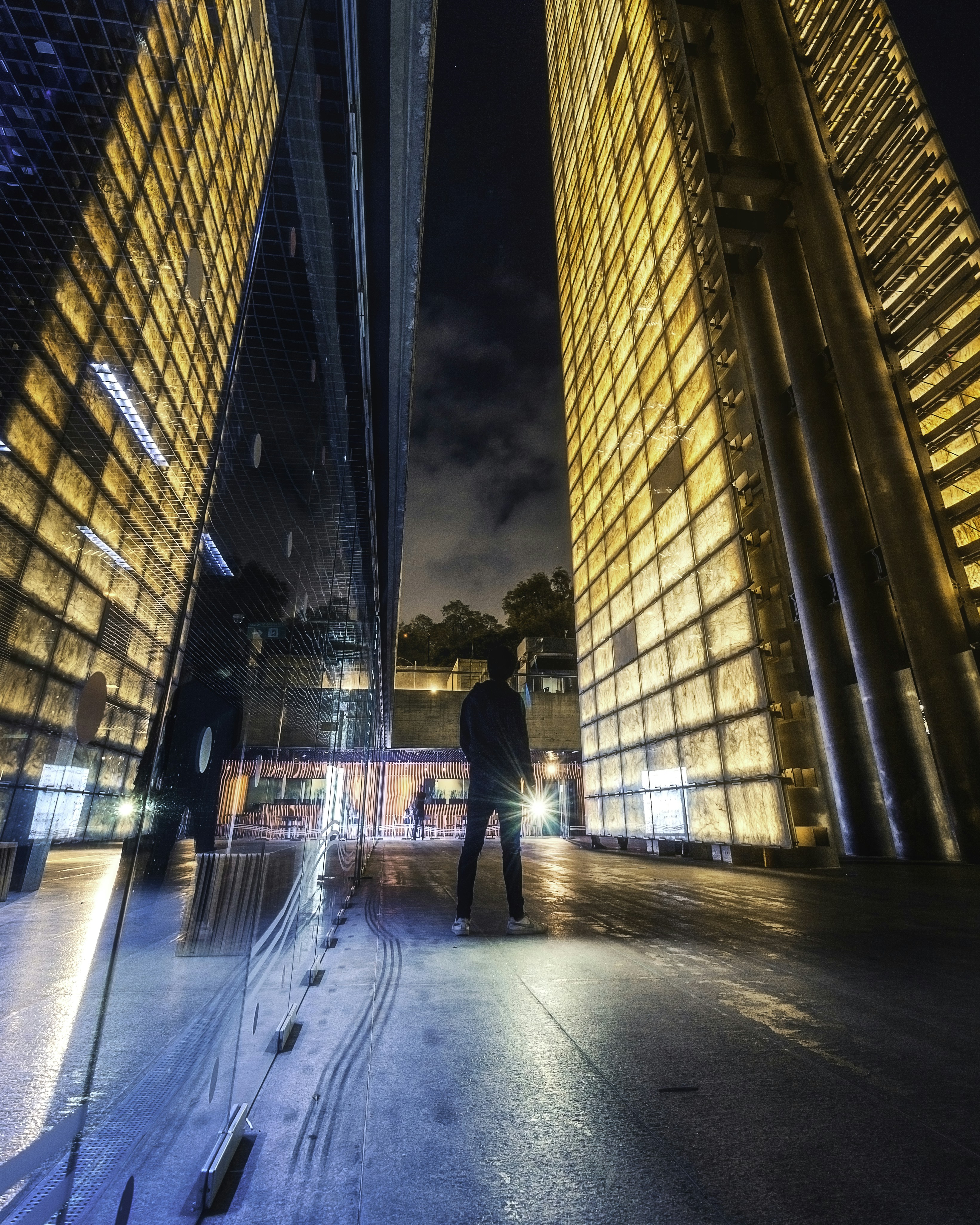 people walking on street during daytime