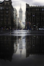 people walking on pedestrian lane during night time