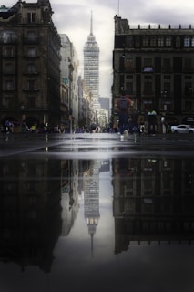 people walking on pedestrian lane during night time