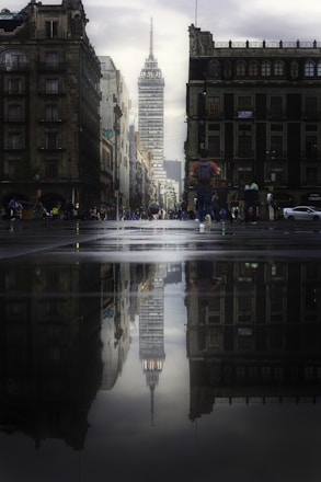 people walking on pedestrian lane during night time