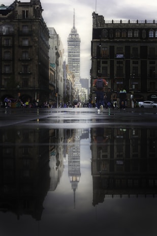 people walking on pedestrian lane during night time
