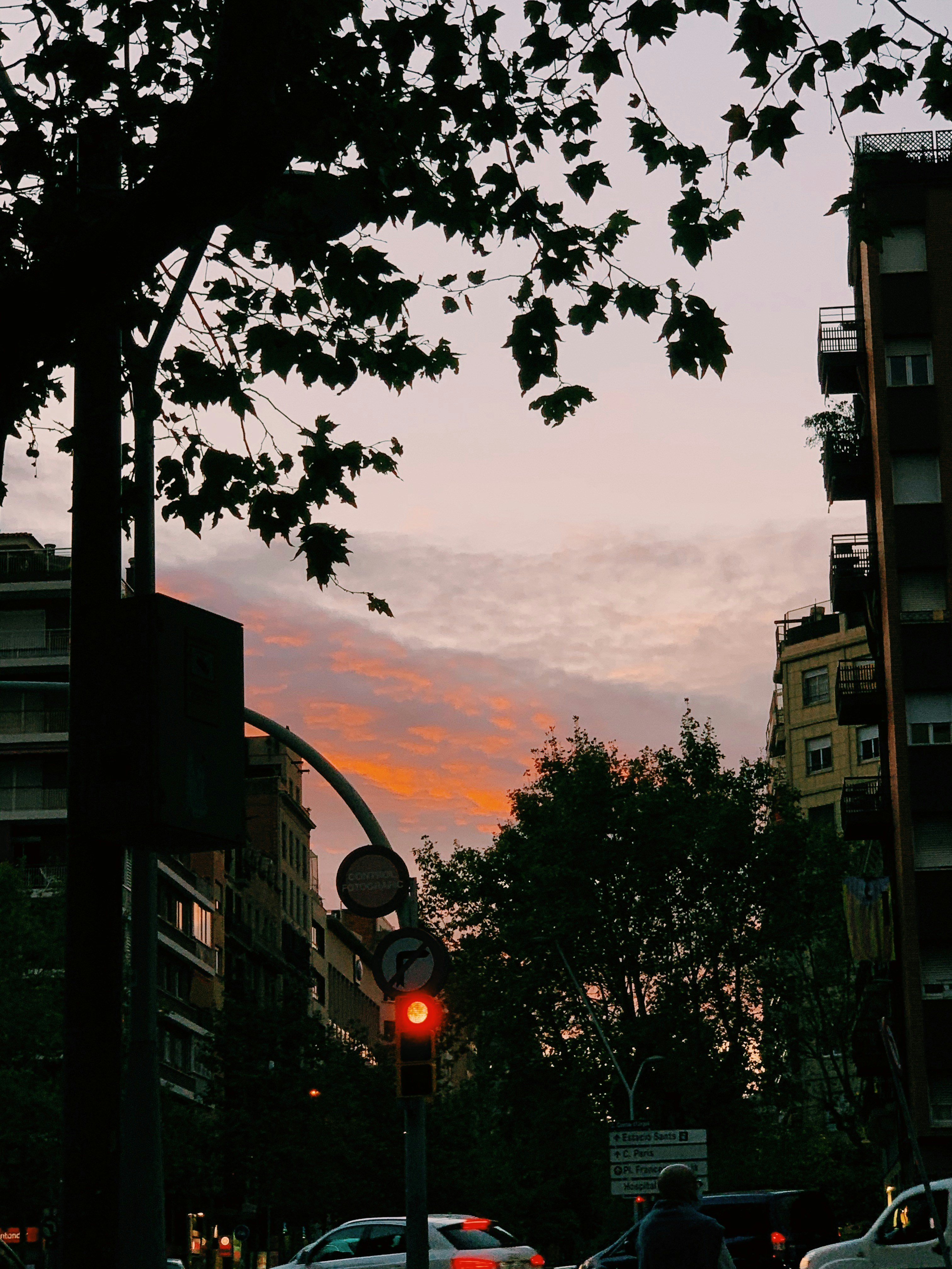 green tree near brown concrete building during daytime