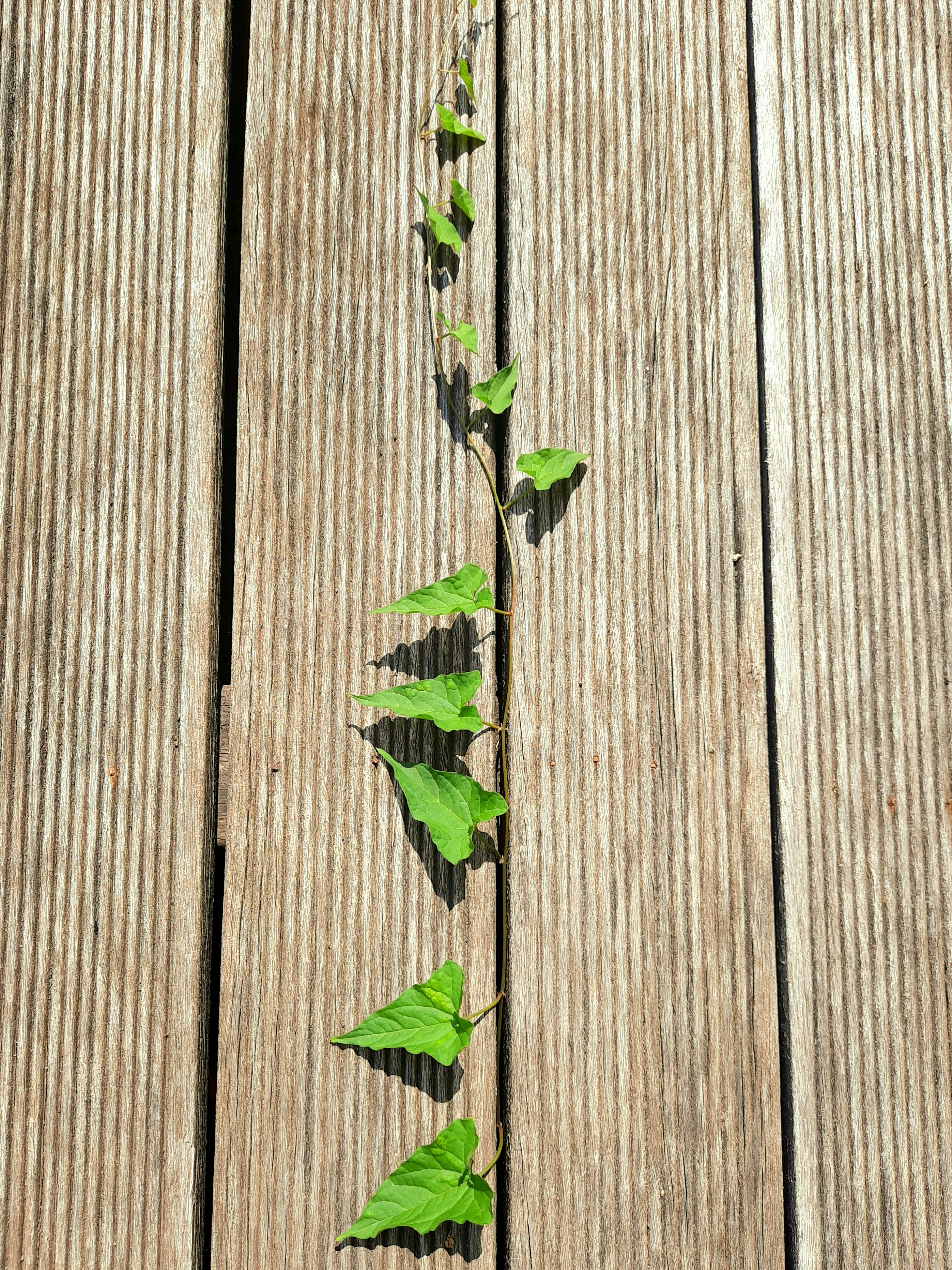 Photo by sita_aghasoy98