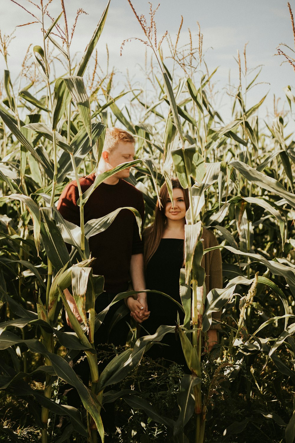 woman in black sleeveless dress sitting on corn field