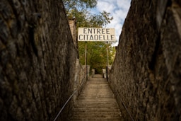 brown wooden bridge in between of trees during daytime