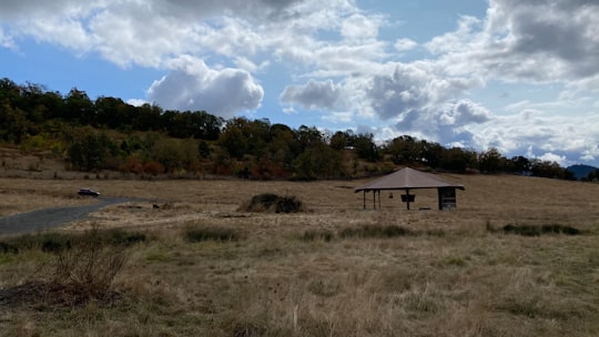 brown and white house on green grass field under white clouds and blue sky during daytime in Wildlife Safari United States