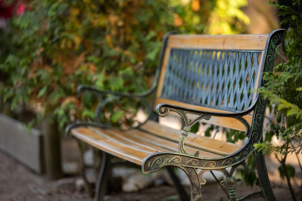 brown wooden bench near green trees during daytime