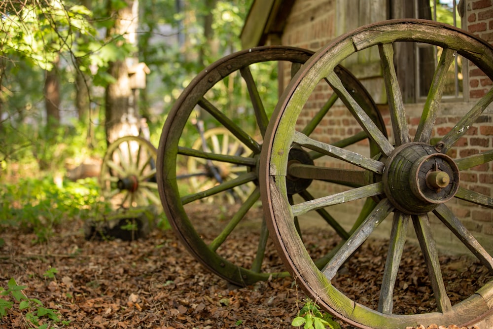 green wooden wheel on brown dried leaves