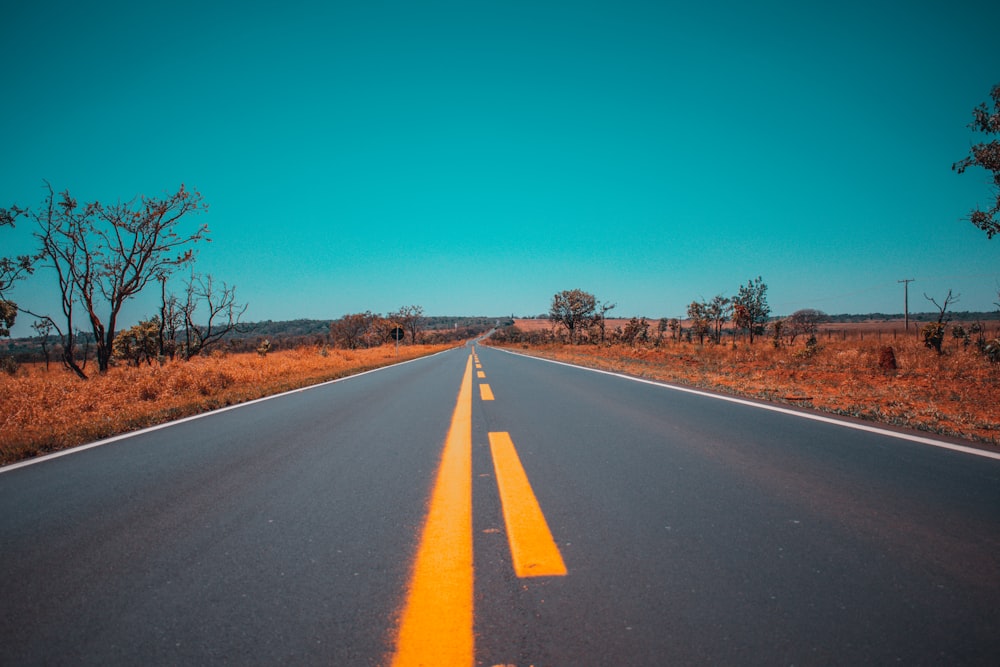 graue Asphaltstraße unter blauem Himmel tagsüber