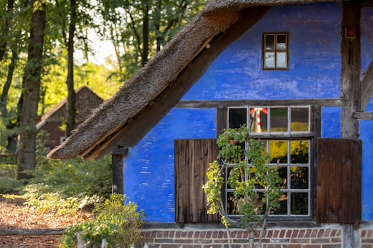 A charming blue-painted cottage with a thatched roof nestled in a forest setting. The cottage features wooden shutters around the windows, and the bright color contrasts with the surrounding green and brown of the trees and foliage. Sunlight filters through the trees, casting dappled shadows on the ground.