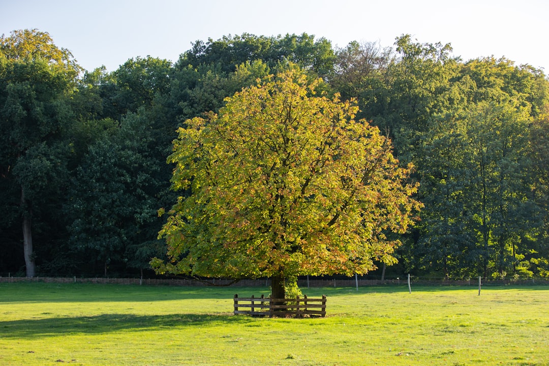 Nature reserve photo spot Openluchtmuseum Doesburg