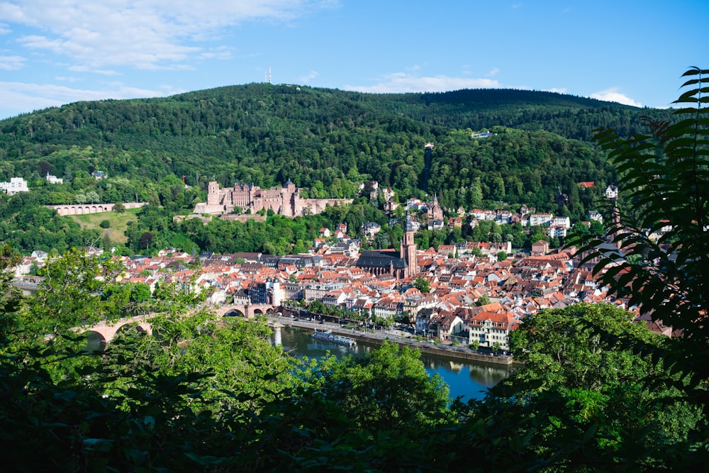 Vue aérienne des bâtiments de la ville et des arbres verts pendant la journée