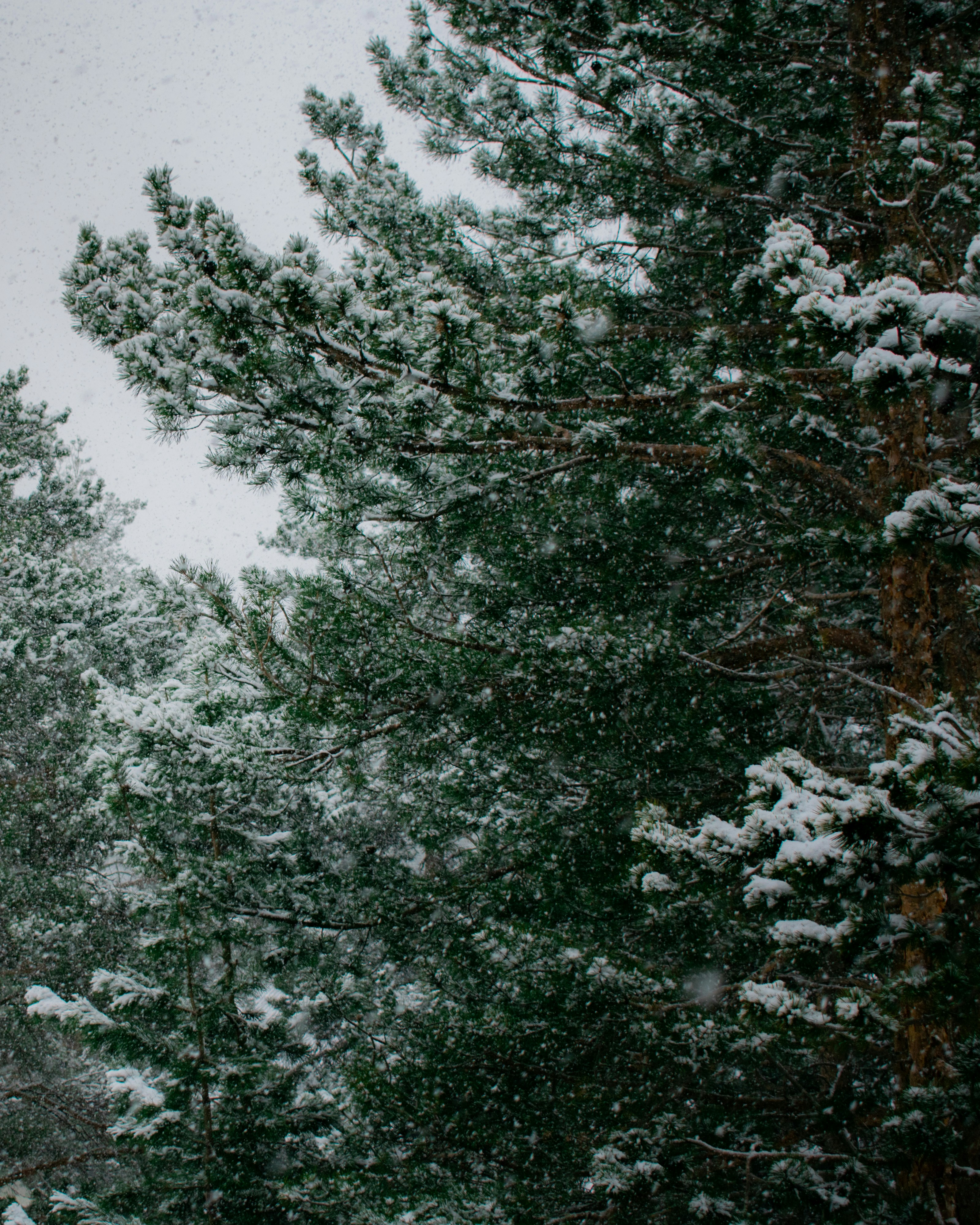 Photo by astashov_artem