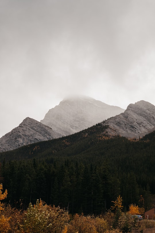 Spray Lakes Road things to do in Canmore