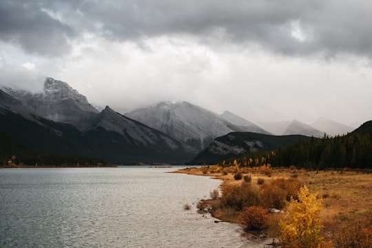 green trees near lake and mountains under white clouds during daytime in Spray Lakes Road Canada