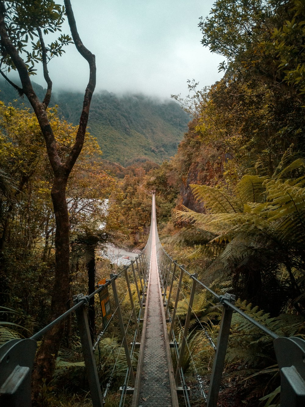 Puente de madera marrón sobre árboles verdes durante el día