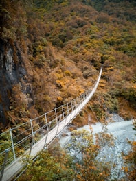 white bridge over river between trees
