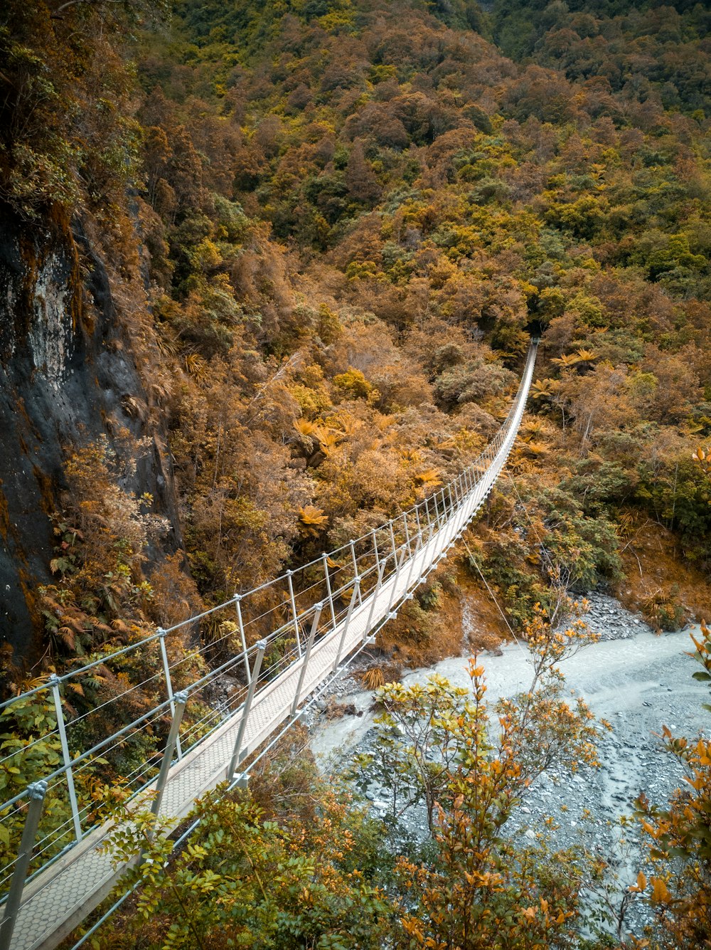 木々の間にある川に架かる白い橋