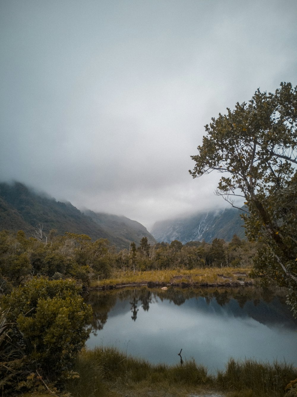 green trees near lake under cloudy sky during daytime