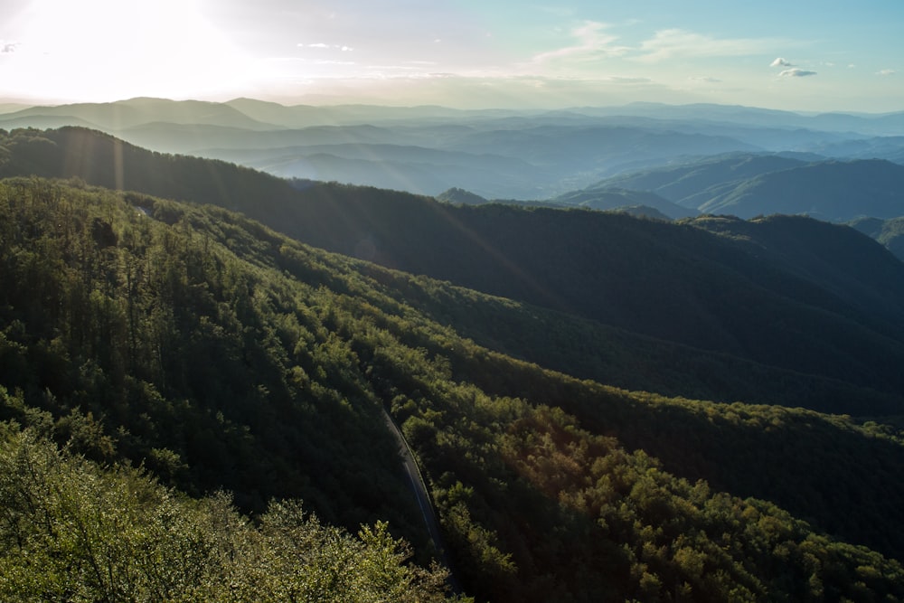 green trees on mountain during daytime