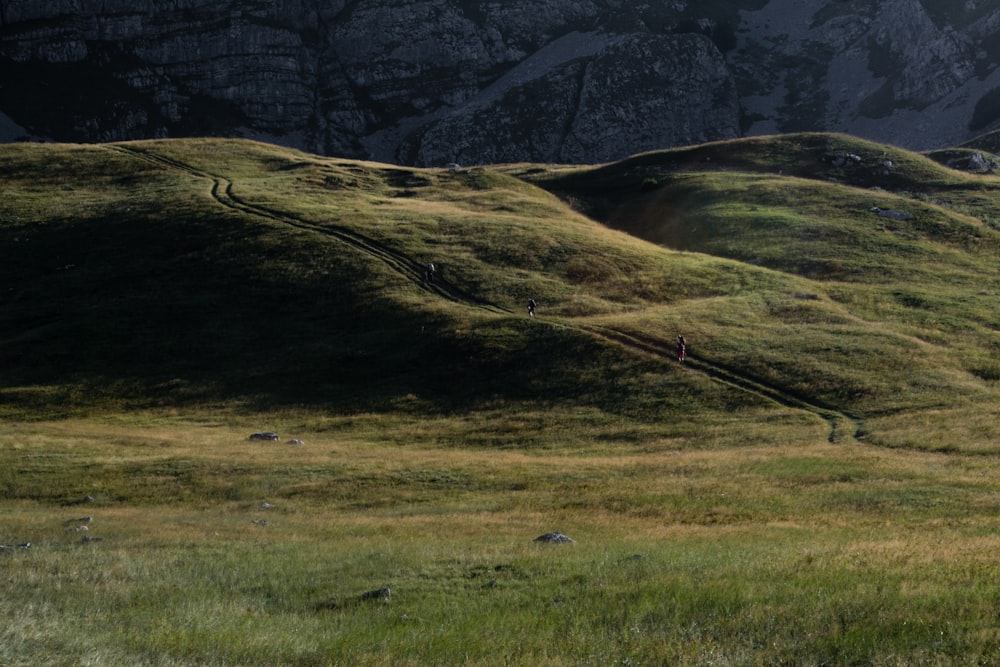 green grass field near mountain during daytime