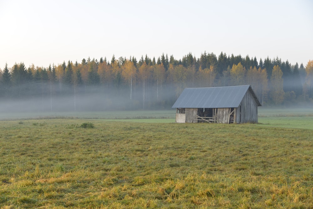 brown wooden house on green grass field near trees during daytime