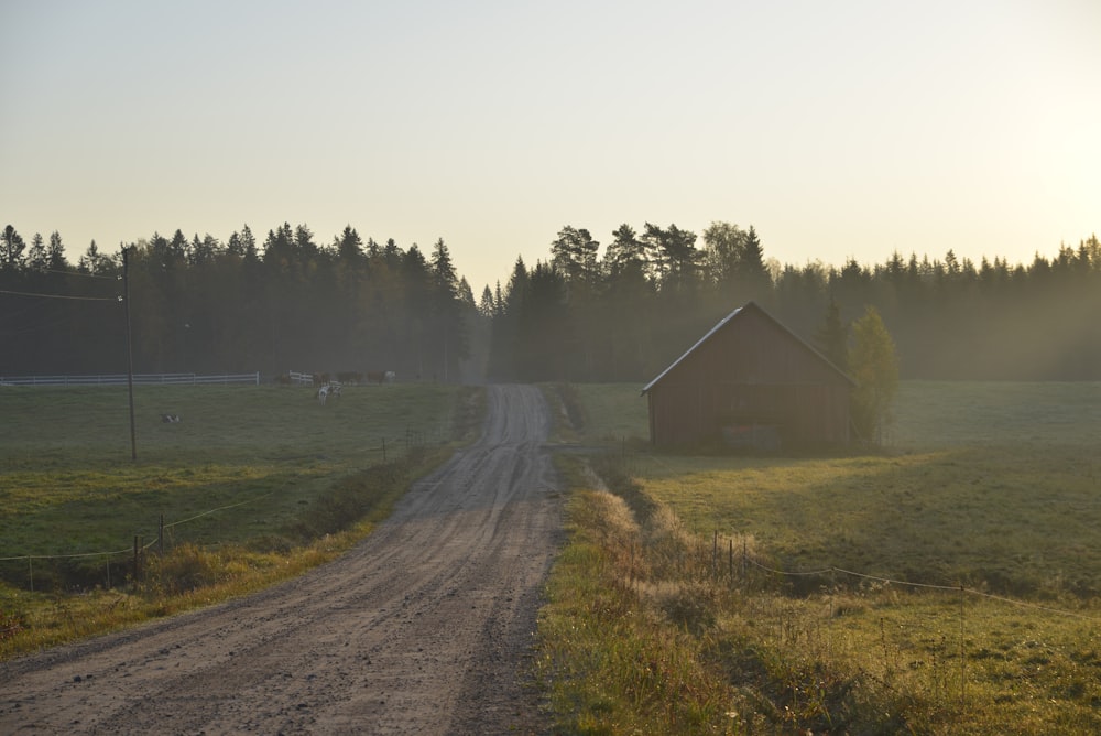 brown wooden house near green grass field during daytime