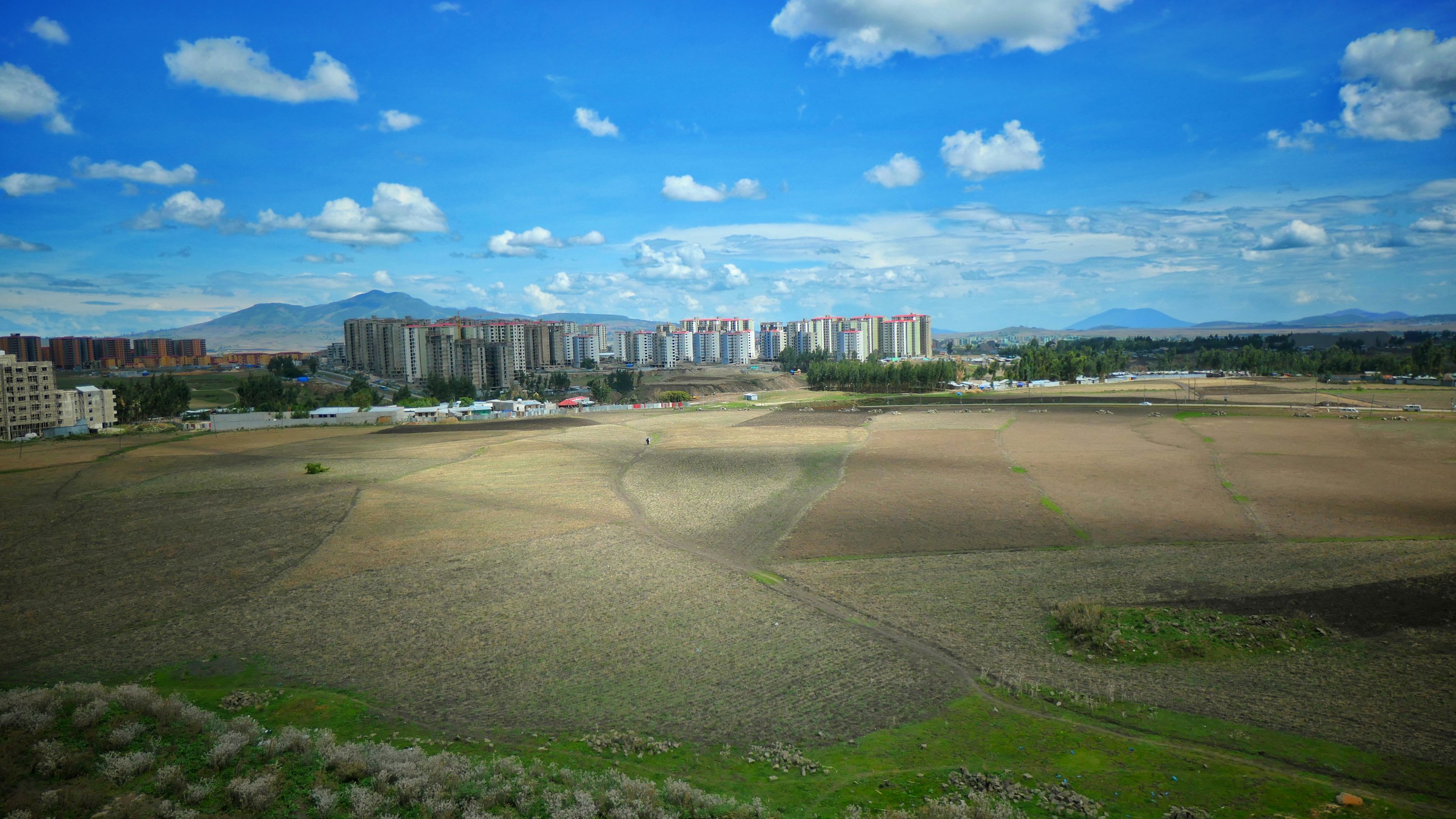 Addis Ababa, the Ethiopian capital (Robel Argaw via Unsplash)