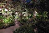 A beautifully illuminated garden pathway lined with potted plants and lush green foliage. Elegant lamp posts provide soft lighting, creating a serene and inviting atmosphere. The plants vary from large leafy trees to smaller flowering shrubs, which add to the garden's vibrant and diverse nature.
