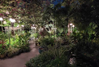 Private garden paths winding through native plants and illuminated by subtle outdoor lighting.