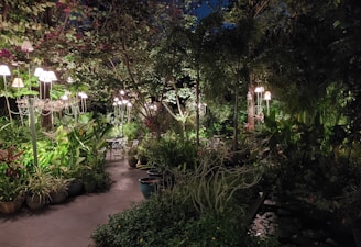A beautifully lit garden pathway showcasing modern landscape lighting.
