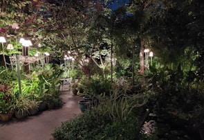 A beautifully illuminated garden pathway lined with potted plants and lush green foliage. Elegant lamp posts provide soft lighting, creating a serene and inviting atmosphere. The plants vary from large leafy trees to smaller flowering shrubs, which add to the garden's vibrant and diverse nature.