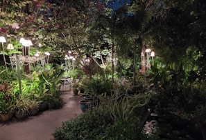 A beautiful floor solar light illuminating a garden pathway.