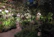 A vibrant garden pathway lined with colorful plants and soft garden lighting.