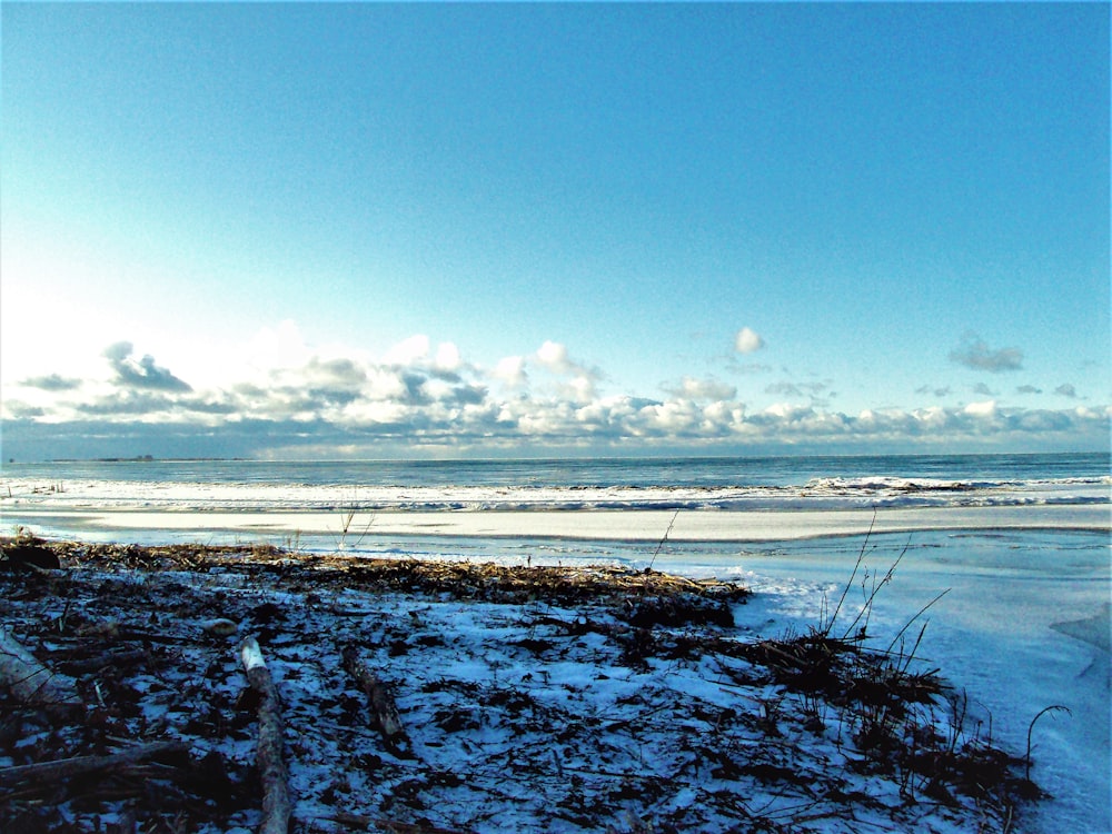 body of water under blue sky during daytime