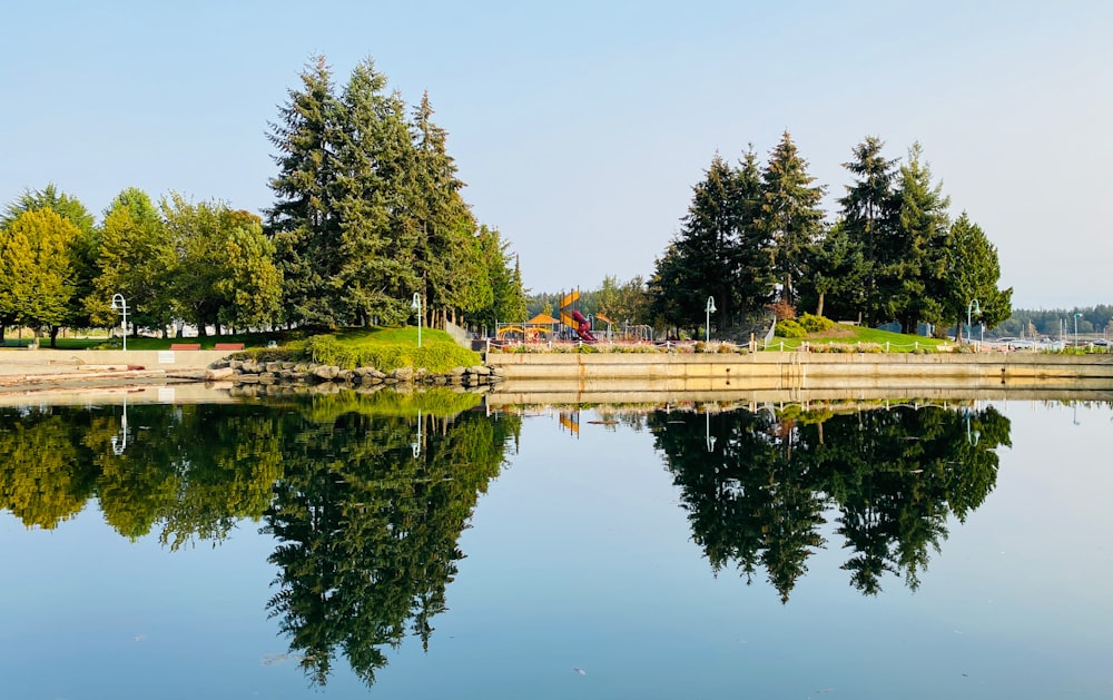 green trees beside body of water during daytime